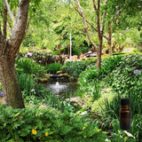 Garden Oasis 10 ml for ScentSolo