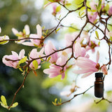 Magnolia Orange Blossom 10 ml for ScentSolo