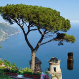 Mediterranean Breeze 10 ml for ScentSolo