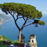Mediterranean Breeze 100 ml for ScentNote