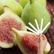 Mediterranean Fig