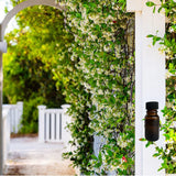 Mediterranean Trellis 10 ml for ScentSolo