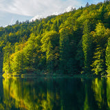 Northern Lake Air 10 ml for ScentSolo