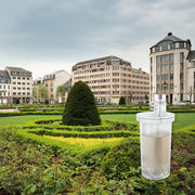 Paris Gardens