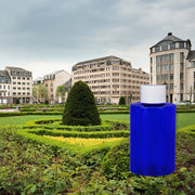 Paris Gardens