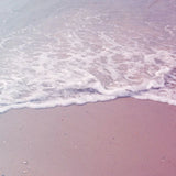 Pink Sands 10 ml for ScentSolo