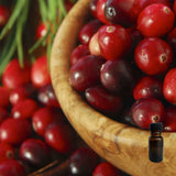 Red Berry & Cedar 10 ml for ScentSolo