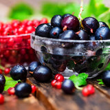 Red Currant 270 ml for ScentVox