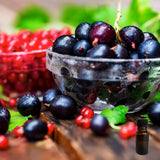 Red Currant 10 ml for ScentSolo