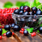 Red Currant 10 ml for ScentSolo