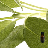 Sage & Citrus 10 ml for ScentSolo