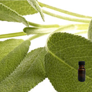 Sage & Citrus