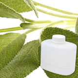 Sage & Citrus