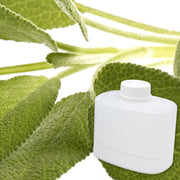 Sage & Citrus