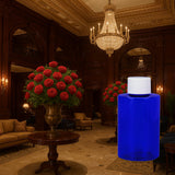 St. Regis