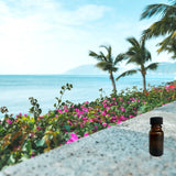 Sun & Sand 10 ml for ScentSolo