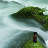 Tranquil 10 ml for ScentSolo