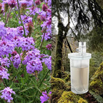 VEOA_Verbena_and_Oakmoss-270.jpg