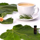 White Tea & Fig 10 ml for ScentSolo