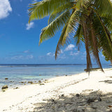 Scent Stick Sample: Beach Walk - and get a $2 credit on your next order