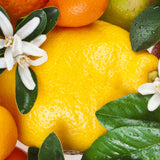 Citrus Blend 500 ml for ScentStyler